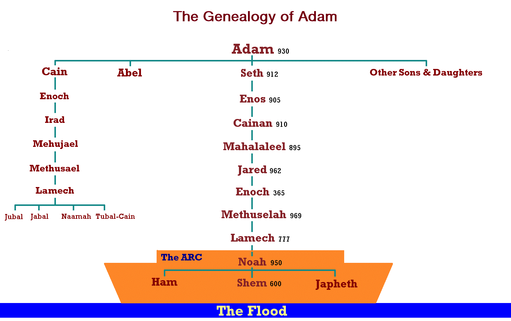 geneology adam1